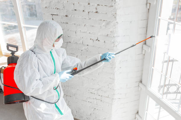 Mold Remediation for Vacation Homes in Woodbourne, PA