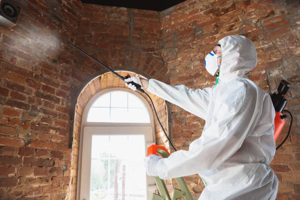 Best Water Damage & Mold Remediation  in Woodbourne, PA